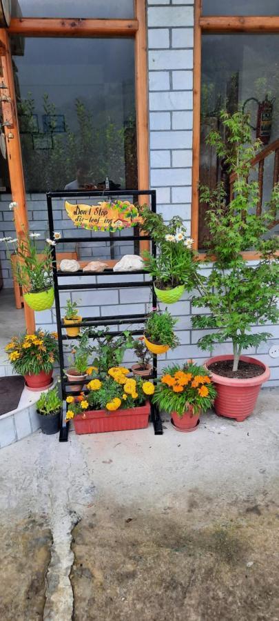 God'S Land Bed & Breakfast Manāli Dış mekan fotoğraf
